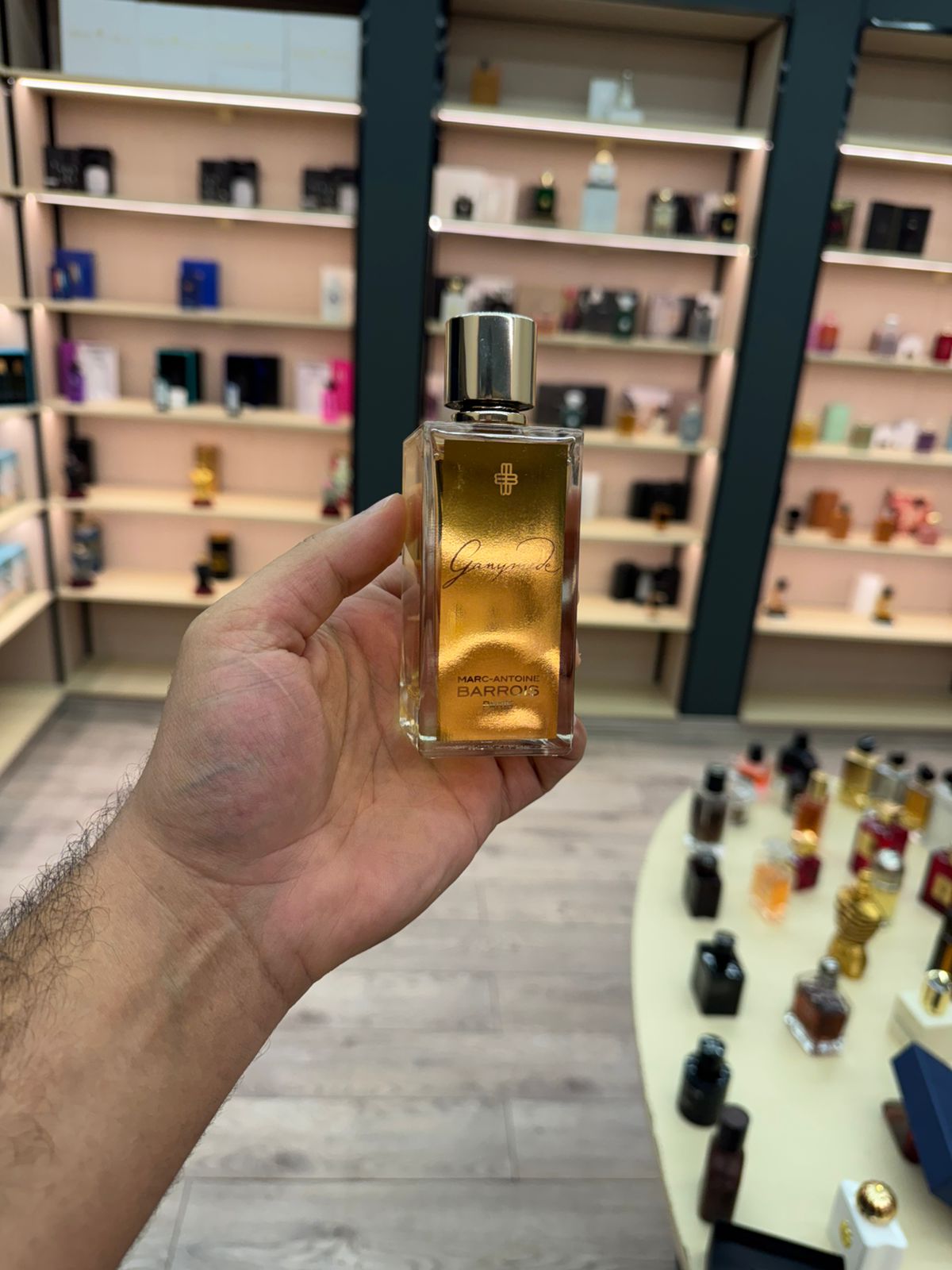 مارك انطوان جانيميد