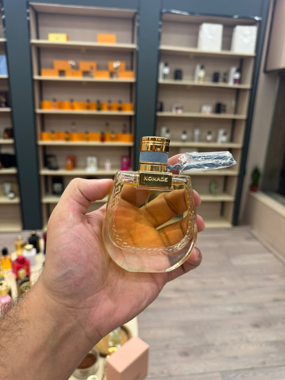 نوماد لومير دي ايجيبت