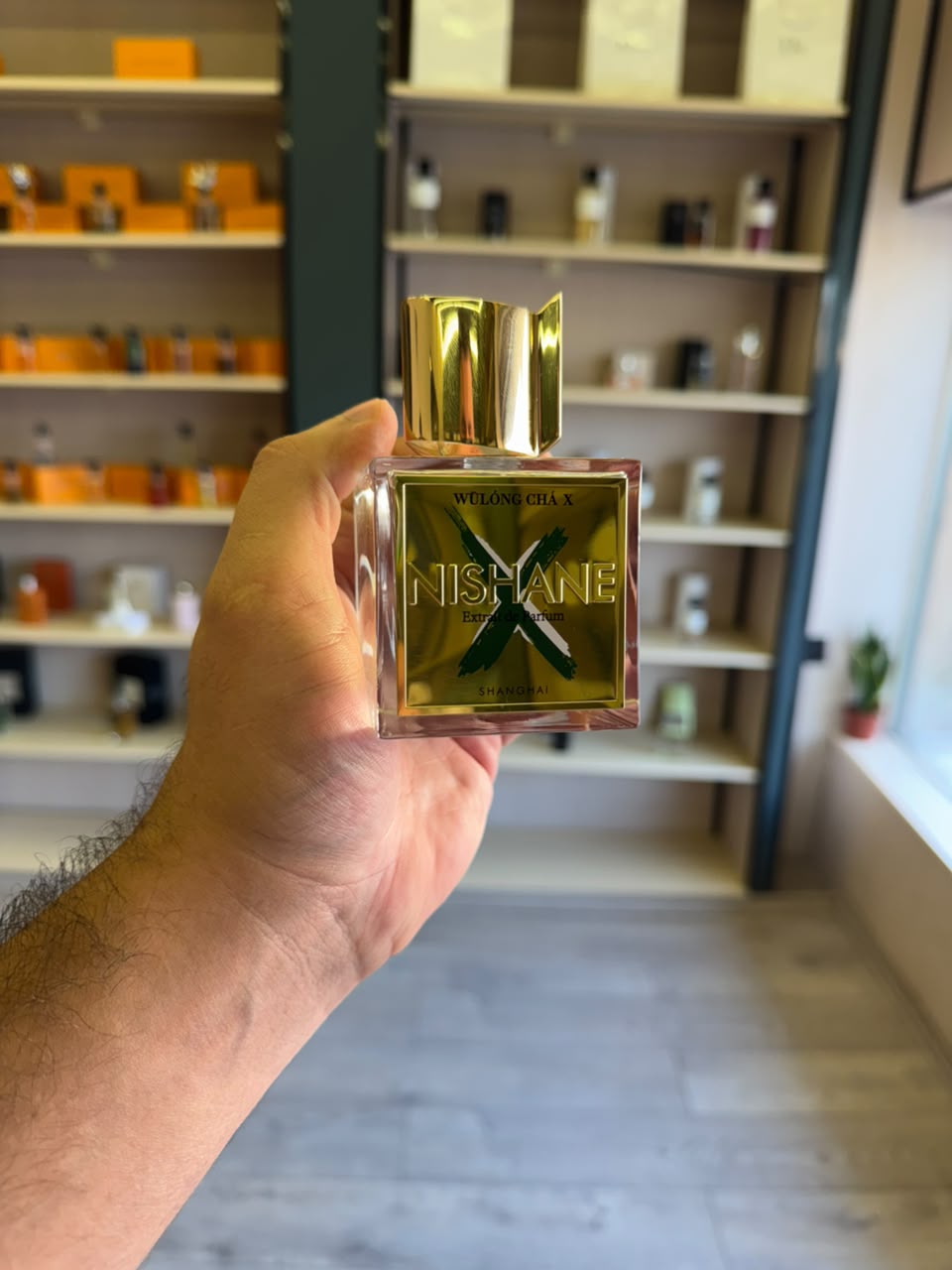 وولنغ تشا x